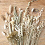 Wildflower Autumnal Cut Dried Flowers Letterbox Gift, thumbnail 8 of 10