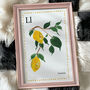 L Is For Lemons Or Name Print, thumbnail 2 of 5