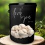 Romantic Lion’s Mane Grow Kit Gift For Him And Her, thumbnail 1 of 2