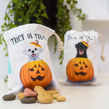 Spooky Trick Or Treat Halloween Dog Treat Bag, 12 of 12