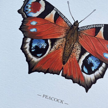 Peacock Illustrated Butterfly Print, 2 of 5