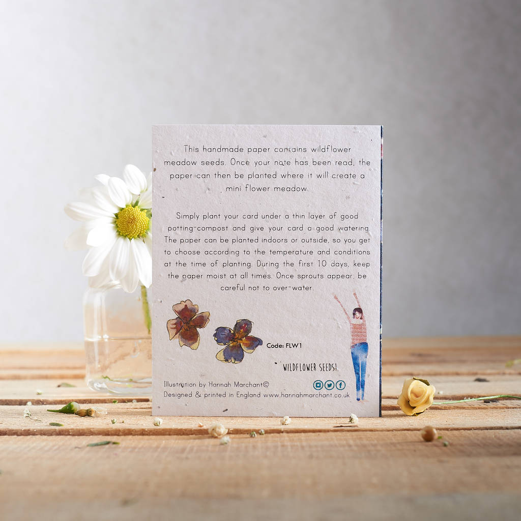 Jolly Purple Thank You Plantable Wildflower Seed Card By Hannah