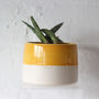 'What A Beautiful Day' Ceramic Indoor Plant Pot, thumbnail 2 of 9