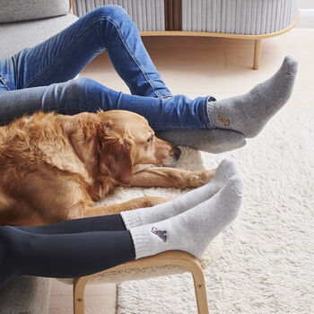 Border Collie Dog Walking Socks, 5 of 12