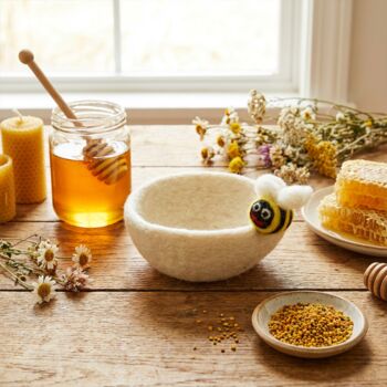 Handmade Felt Garden Bugs Trinket Dish Decoration, 3 of 9