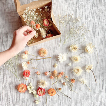 Autumn Style Dried Flower Mix Box, 2 of 2