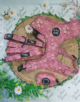 Old Garden Bloom Roses Dog Collar With Optional Set, 5 of 5