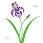 Personalised Iris Button Picture, thumbnail 3 of 3
