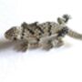Animal Dimonte Brooches, thumbnail 4 of 9
