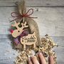 Personalised Magic Christmas Reindeer Food Pouch, thumbnail 1 of 9