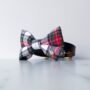 Bloomsbury Luxury Dog Bow Tie, thumbnail 1 of 2