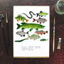 Flumens Freshwater Fish Art Print, thumbnail 2 of 7