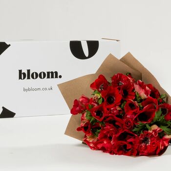 Royal Red Anemones Fresh Flower Bouquet, 3 of 3