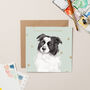 Street Vet Spy Charity Christmas Card With Gold Foil, thumbnail 1 of 3