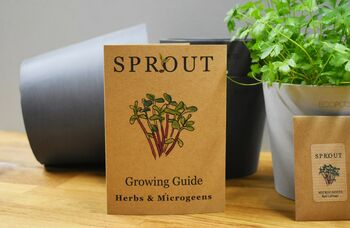Grow Your Own Eco Friendly Herbs And Microgreens, 5 of 7