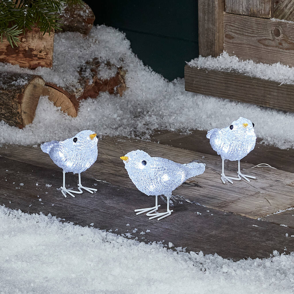 trio-of-light-up-birds-by-lights4fun-notonthehighstreet