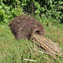 Biscuit The Hedgehog Brushwood House With Nesting Straw, thumbnail 1 of 7