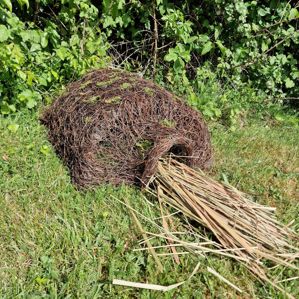 Biscuit The Hedgehog Brushwood House With Nesting Straw, 1 of 7