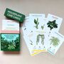 Houseplant Care Cards, thumbnail 1 of 4