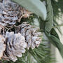 Eucalyptus And Pinecone Wreath, thumbnail 3 of 5