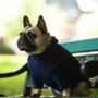 French Bulldog Polartec Water Resistant Dog Coat, thumbnail 8 of 10