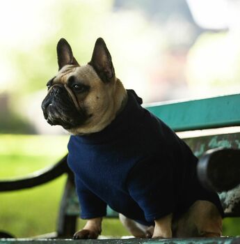 French Bulldog Polartec Water Resistant Dog Coat, 8 of 10