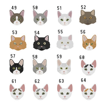 Personalised Cat Breed Wooden Puzzle, 6 of 9
