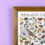 Meadow Wildlife Of Britain Wildlife Print, thumbnail 3 of 9