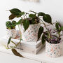 Classic Handmade Terrazzo Indoor Plant Pot, thumbnail 5 of 7