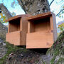 Set Of Two Wooden Robin Bird Houses, thumbnail 1 of 4