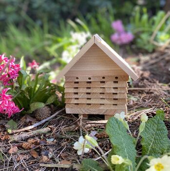 Busy Bee Hotel And Lucky Ladybird House Set, 6 of 8