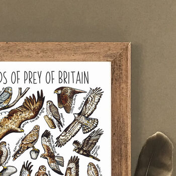 Birds Of Prey Of Britain Wildlife Print, 5 of 7