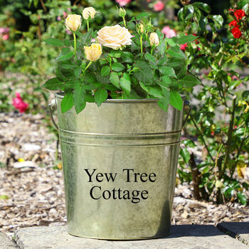 Personalised Large Vintage Garden Bucket Planter, 3 of 8