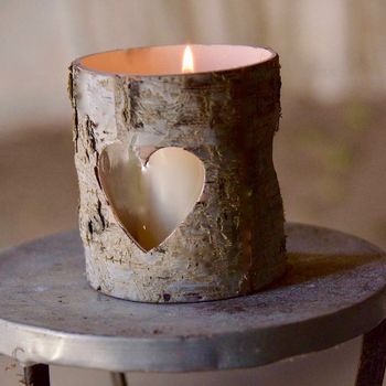 Birch Bark Vase / Candle Holder, 4 of 4