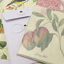 Botanical Chinoiserie Vintage Style Art Cards, thumbnail 7 of 8