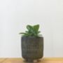 Elegant Houseplant Planter Totem Design, thumbnail 4 of 5