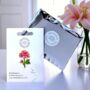 Large Pink Rose Hard Enamel Pin Brooch, thumbnail 2 of 8