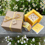 Mini Bee House Gift Set, thumbnail 1 of 6