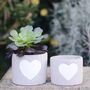 Cement White Heart Planter With Choice Of Succulent, thumbnail 1 of 3