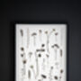 Original Pressed Flower Frame – Field Notes Botanical Wall Art A3, thumbnail 3 of 8