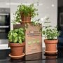Grow Your Own Herbs 'Terracotta Herbs Kit', thumbnail 1 of 9