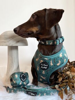 Wild Meadow Bunny Dog Collar With Optional Set, 7 of 7