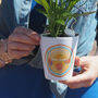 Shells And Sunshine Personalised Teacher Plant Pot Gift, thumbnail 1 of 6