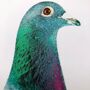 Birds Of Hackney Pigeon Print, thumbnail 4 of 5