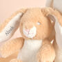 Personalised Bunny Soft Toys Set, thumbnail 3 of 3