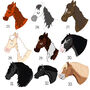 Horse Bridle Tag Personalised, thumbnail 4 of 10