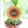 Personalised Mini Sunflower Plant Label, thumbnail 2 of 2