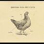 British Chicken Butcher Chart, thumbnail 2 of 9