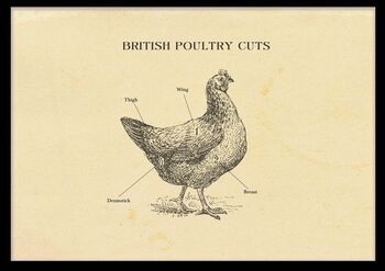 British Chicken Butcher Chart, 2 of 9