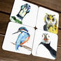 Inky Feathered Friends Collection Coasters, thumbnail 9 of 11
